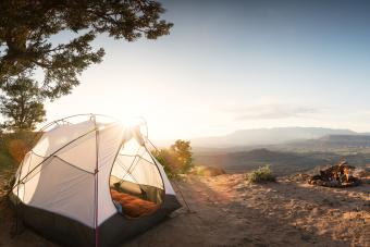 Tent Camping Under a Pinon Tree in the Desert