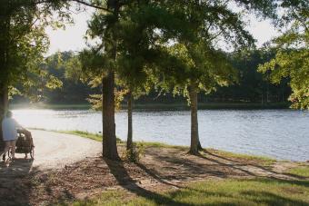 https://cf.ltkcdn.net/camping/images/slide/276445-850x566-lake-lincoln-state-park.jpeg