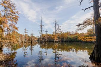 https://cf.ltkcdn.net/camping/images/slide/276446-850x566-lake-lowndes-state-park.jpg