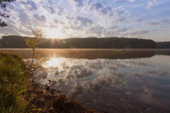 https://cf.ltkcdn.net/camping/images/slide/276449-850x566-natchez-state-park.jpg