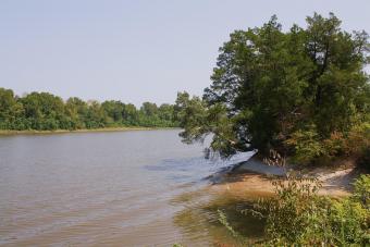 https://cf.ltkcdn.net/camping/images/slide/276451-850x566-tombigbee-river-at-demopolis.jpeg