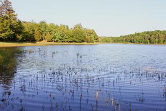 https://cf.ltkcdn.net/camping/images/slide/276452-850x566-tishomingo-state-park.jpg