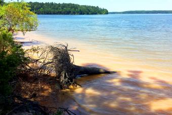 https://cf.ltkcdn.net/camping/images/slide/276764-850x567-parkers-creek-jordan-lake.jpg