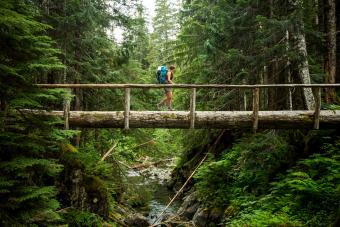 https://cf.ltkcdn.net/camping/images/slide/276803-850x566-olympic-national-park-1.jpg