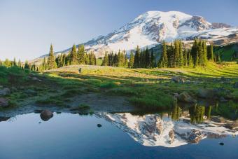 https://cf.ltkcdn.net/camping/images/slide/276815-850x566-mount-rainier-national-park.jpg