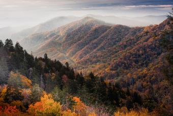 https://cf.ltkcdn.net/camping/images/slide/276821-850x566-great-smoky-mountains.jpg
