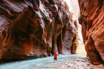 https://cf.ltkcdn.net/camping/images/slide/276838-850x566-zion-national-park-1.jpg