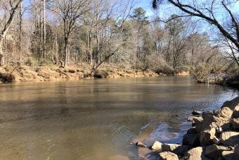 https://cf.ltkcdn.net/camping/images/slide/276843-850x567-william-b-umstead-state-park.jpg