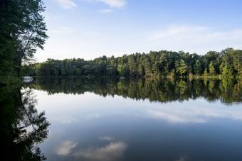 Scenic view of Iowa lake by trees in forest against sky