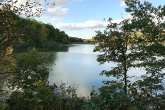 Lacey-Keosauqua State Park