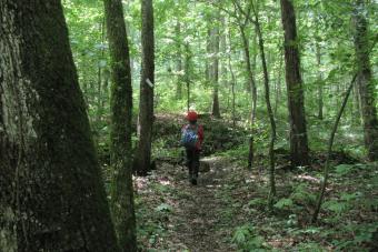 Ozark Highlands Trail