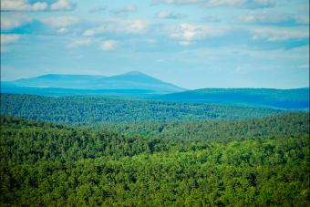Ouachita National Forest, AR