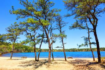Nickerson State Park