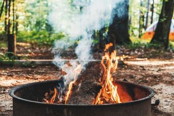 Campfire Against Trees In Forest