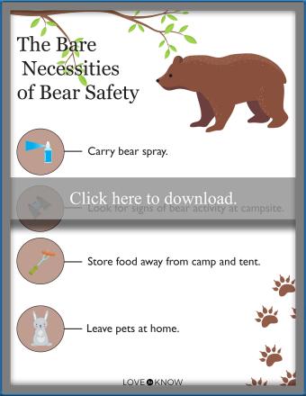 The Bare Necessities of Bear Safety