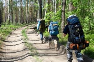 Backpackers on the trail.