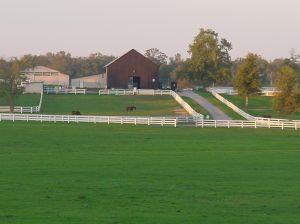 Kentucky_horse_farm.jpg