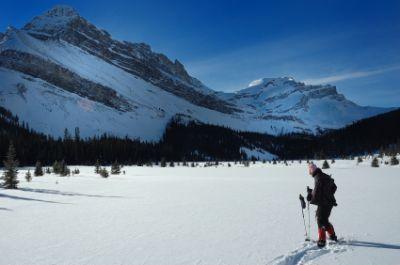 Snowshoes and Solitude