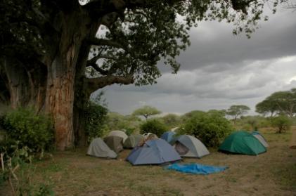 stormy camp