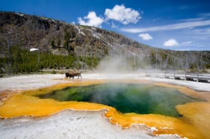 backcountry camping in yellowstone