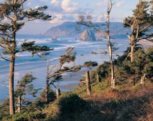 Oregon Coast Camping