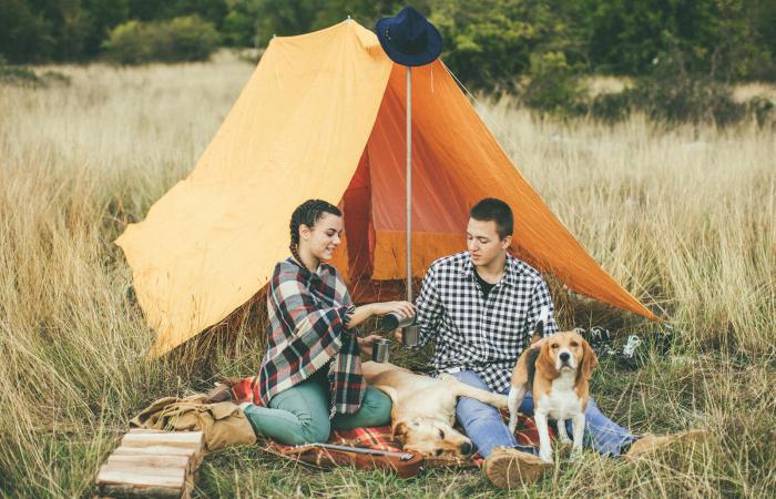 Camping With Dogs