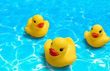 Yellow rubber ducks