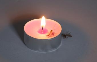 Citronella Candle