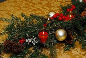 An evergreen bough