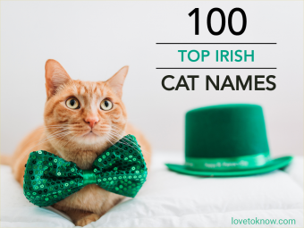 Cat for St Patrick's Day