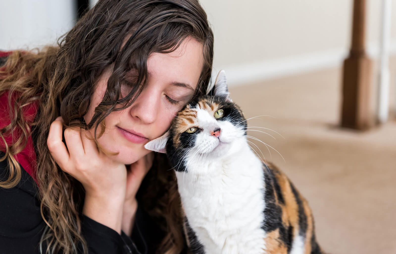 Common Reasons for Cat Headbutt Behavior | LoveToKnow Pets