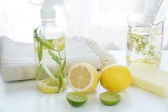 https://cf.ltkcdn.net/cats/cat-training-and-behavior/images/slide/321251-850x567-citrus-spray-lemon-lime.jpg