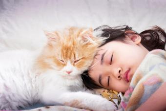 Cat sleeping on little girls head