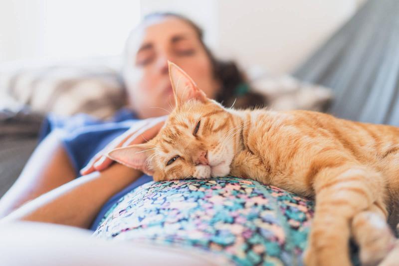 6 Surprising Reasons Your Cat Sleeps Pressed Against You LoveToKnow Pets