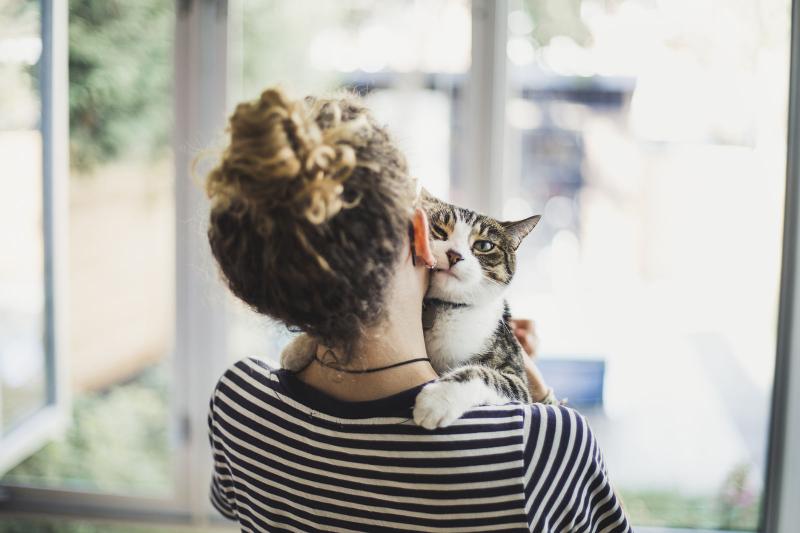 Picture of 9 Signs Your Cat Has Separation Anxiety & How to Help | LoveToKnow Pets
