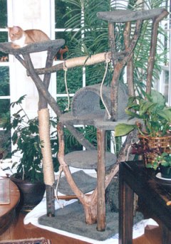cat tree trunk