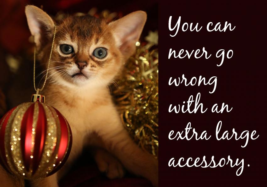 22 Funny Pictures Of Christmas Cats Lovetoknow