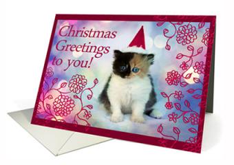 Christmas card with kitten in a santa hat at Greeting Card Universe