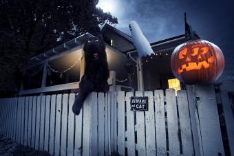 Halloween scene with a black cat perched atop a fence in front of a decorated house