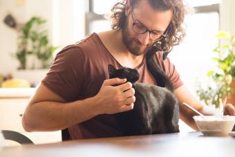 Young man stroking his black cat at home