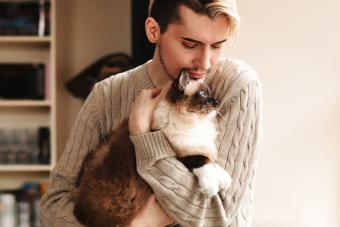 Man holding a ragdoll cat