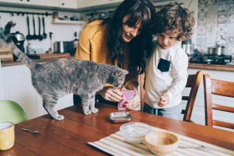 Young woman and little boy feeding their cat at the table at home