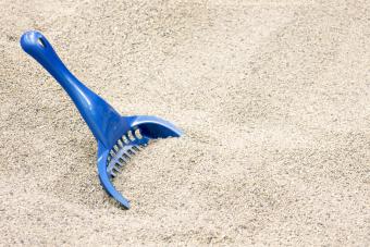 Sand as cat litter