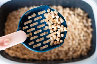 wood cat litter