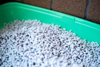 paper cat litter