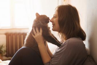 whisker-sec2-owner-1448x966.jpg