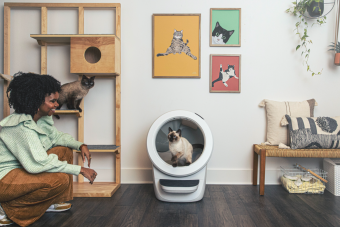 whisker litter robot