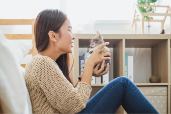 woman playing with gray kitten