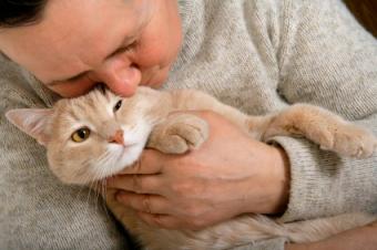 man holding cat