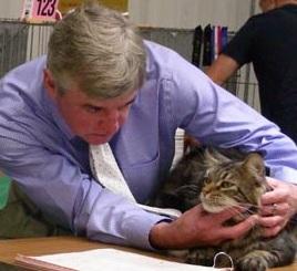 Paul Sandel judging a Maine Coon; Image used with Mr. Sandel's permission.